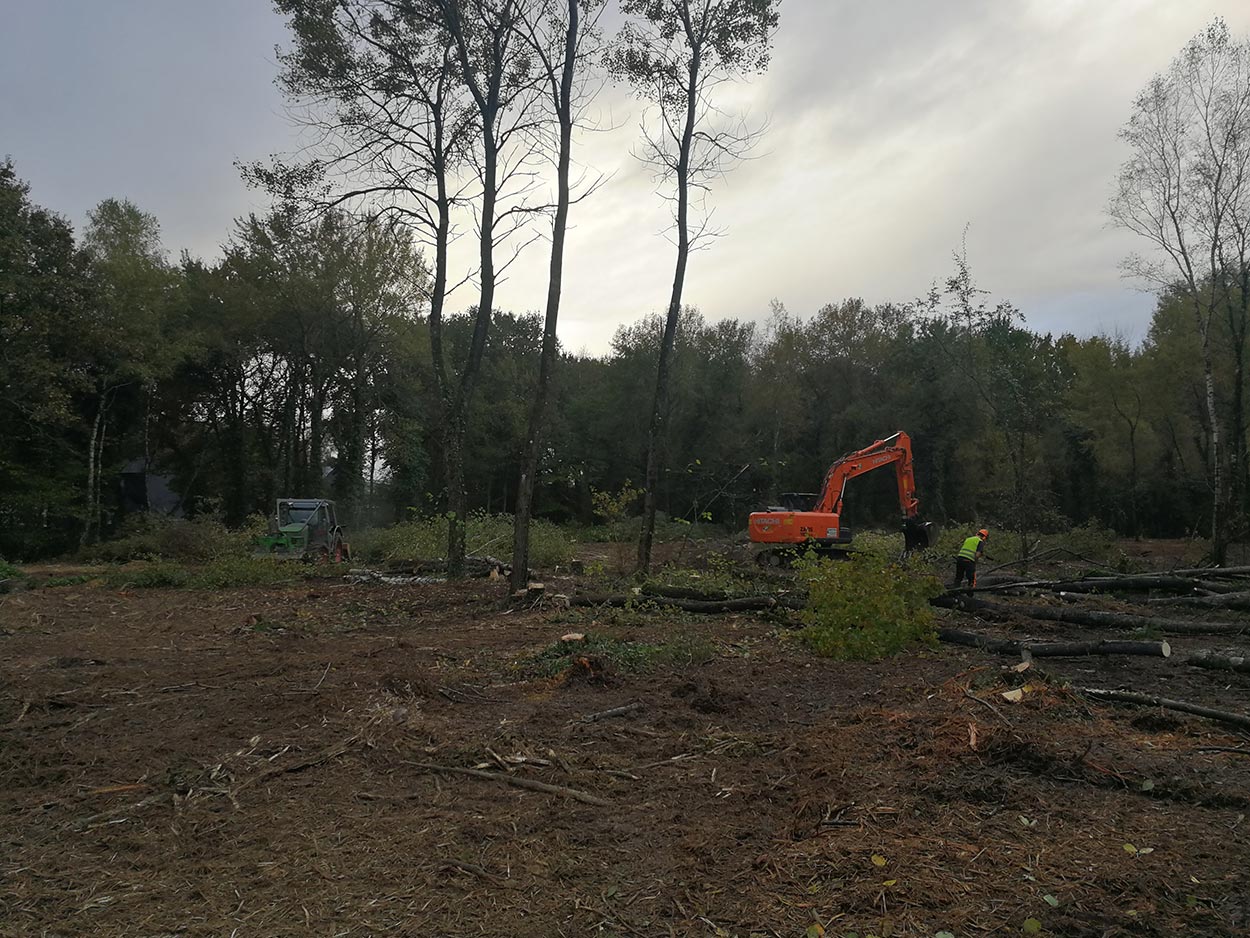 Débroussaillage Oloron, Débroussaillage 64, Travaux forestiers Oloron, Travaux forestiers 64, Paysagiste Oloron, Paysagiste 64, Elagage Oloron, Elagage 64, Transports de machines TP Oloron, Transports de machines TP 64