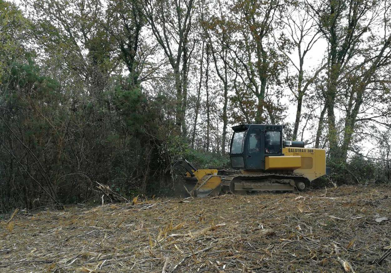 Débroussaillage Oloron, Débroussaillage 64, Travaux forestiers Oloron, Travaux forestiers 64, Paysagiste Oloron, Paysagiste 64, Elagage Oloron, Elagage 64, Transports de machines TP Oloron, Transports de machines TP 64