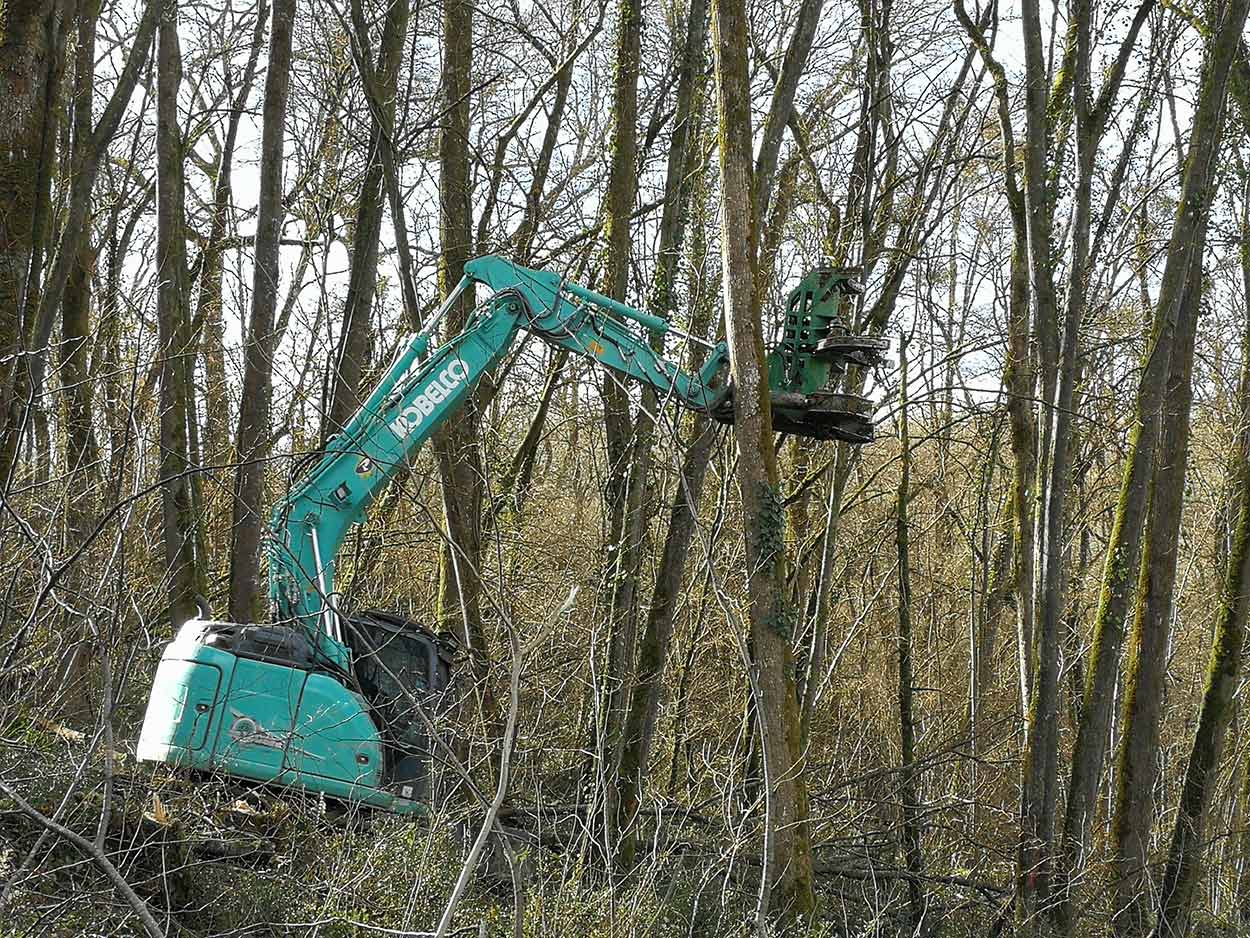 Débroussaillage Oloron, Débroussaillage 64, Travaux forestiers Oloron, Travaux forestiers 64, Paysagiste Oloron, Paysagiste 64, Elagage Oloron, Elagage 64, Transports de machines TP Oloron, Transports de machines TP 64